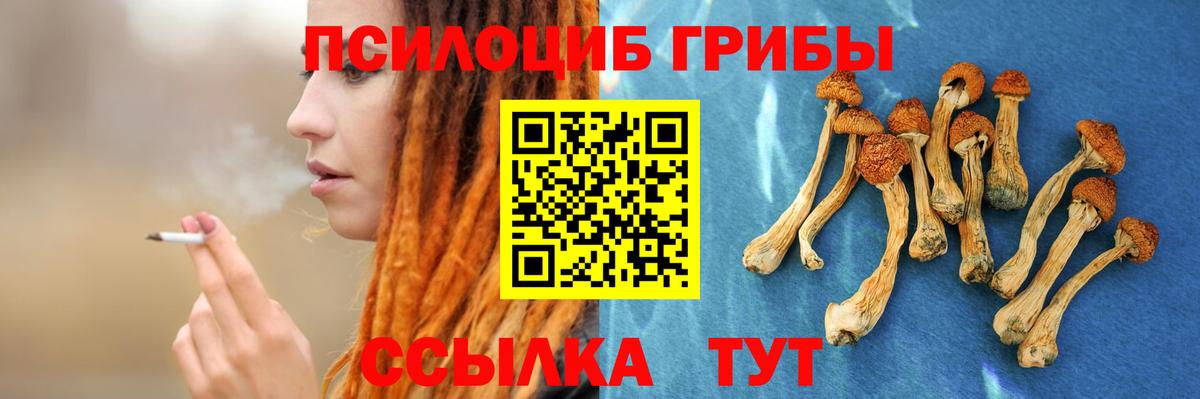 Псилоцибиновые грибы MAGIC MUSHROOMS  Галлюциногенные грибы мухоморы  Черняховск  Вход с VPN 